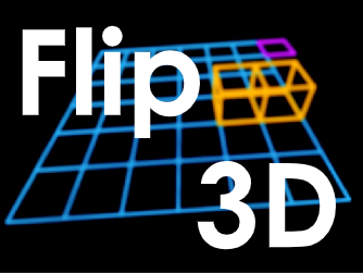 Flip 3D